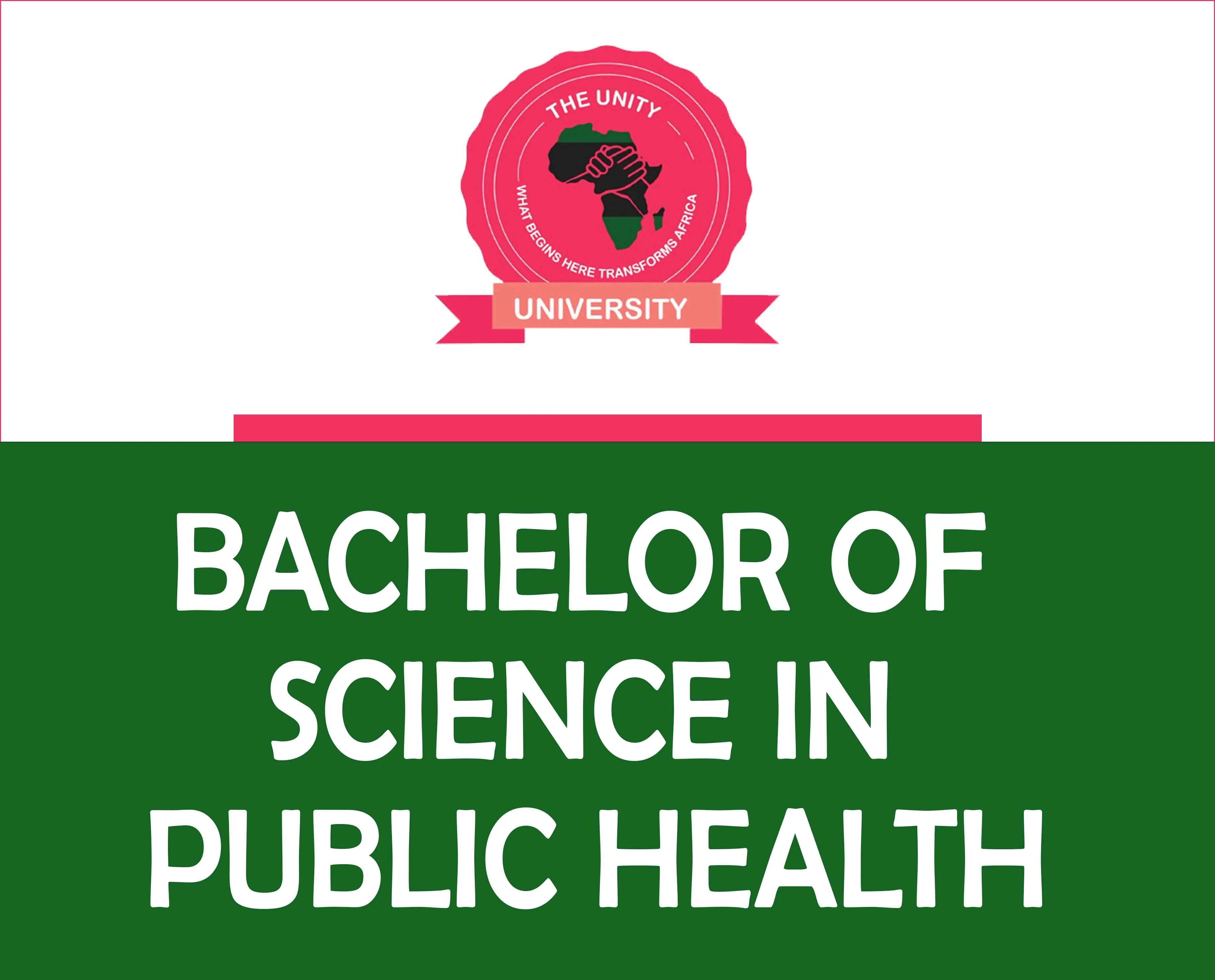 Bachelor of Public Health